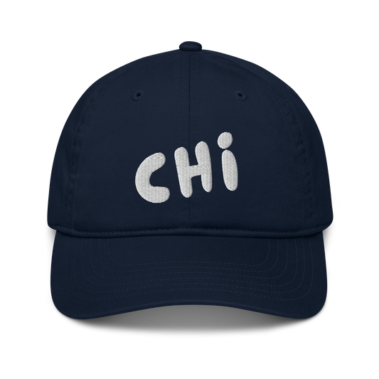 CHI Chicago, Illinois City Abbreviation